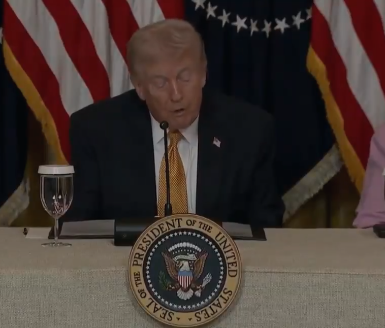 Rift in NATO: Trump Slams Allies for Refusing to Join Iran War